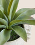 Artificial Aloe Vera Plant in Concrete Pot